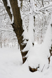 Similar image 16925447