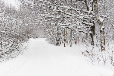 Similar image 16925448