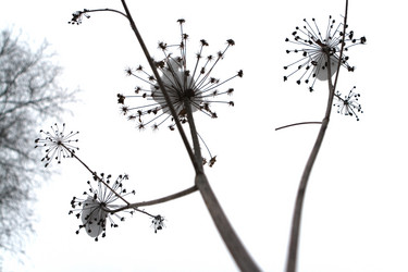 Similar image 16925452