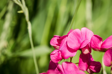 Similar image 16926756