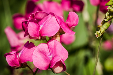 Similar image 16926757