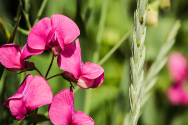 Similar image 16926758