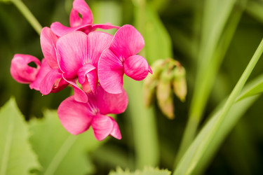 Similar image 16926760