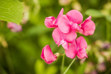 Similar image 16926763