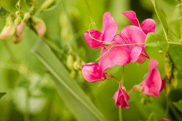 Similar image 16926766