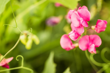 Similar image 16926780