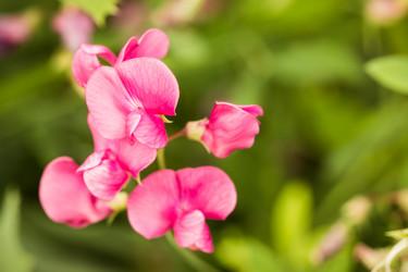 Similar image 16926782