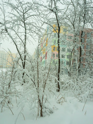 Similar image 17244301