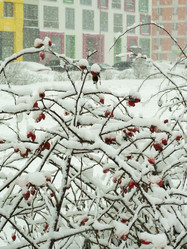 Similar image 17244305