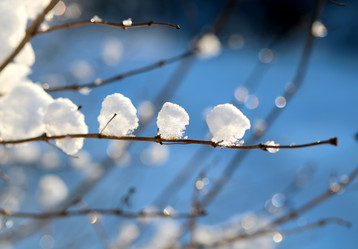 Similar image 17247785