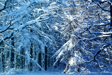 Similar image 17247787