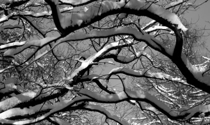 Similar image 17247790