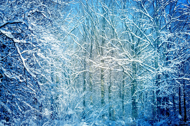 Similar image 17247806