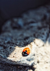 Similar image 16925453