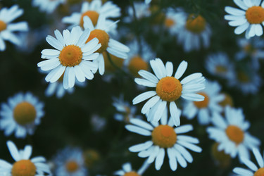 Similar image 16925455