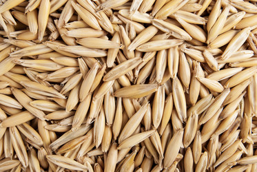 Similar image 16926636