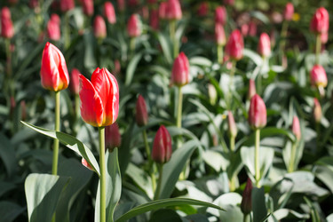 Similar image 16926644