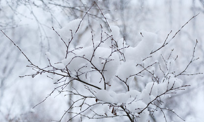 Similar image 16926556