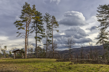 Similar image 17240928