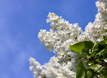 Similar image 16926837