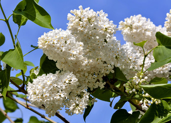 Similar image 16926838