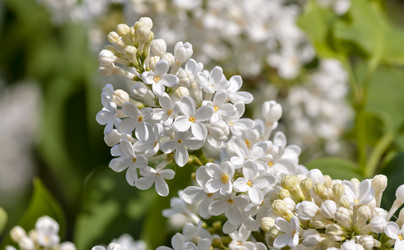 Similar image 16926839