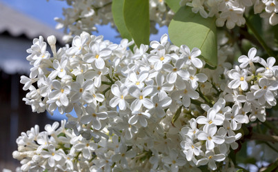 Similar image 16926859