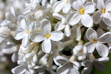 Similar image 16926860