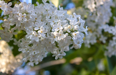 Similar image 16926863