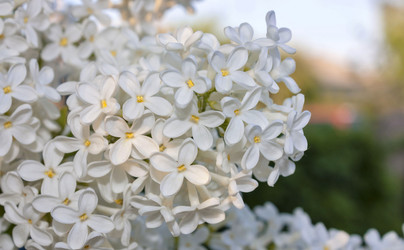 Similar image 16926864