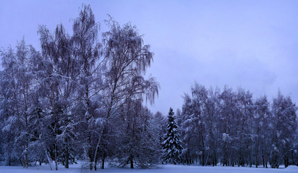 Similar image 17249179