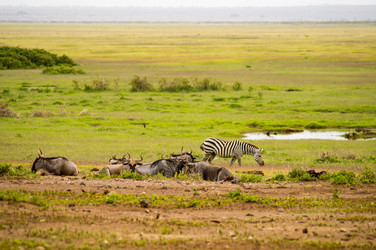 Similar image 17544090