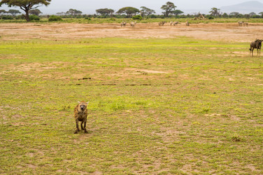 Similar image 17544108