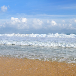 Similar image 16978000