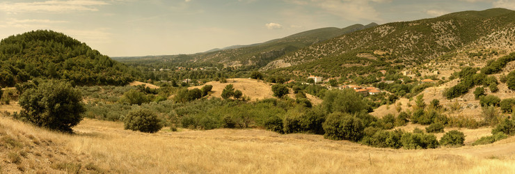 Similar image 17247959