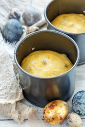 Similar image 17239069