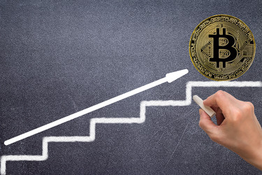 Similar image 17238528