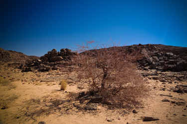 Similar image 17249183