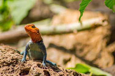 Similar image 17544001