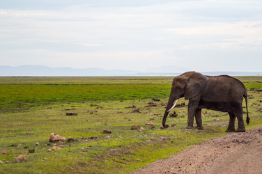 Similar image 17544043