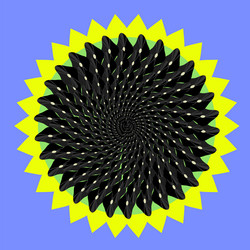 Similar image 17293668