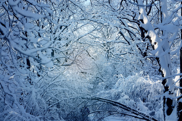 Similar image 17247813