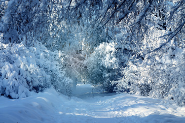 Similar image 17247826