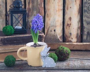 Similar image 16927004