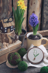 Similar image 16927008