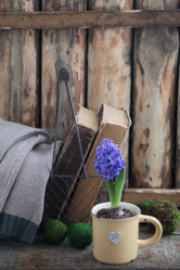 Similar image 16927009