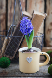 Similar image 16927011