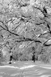 Similar image 17247819