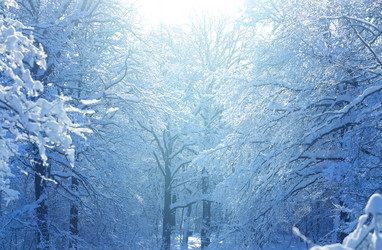 Similar image 17247838