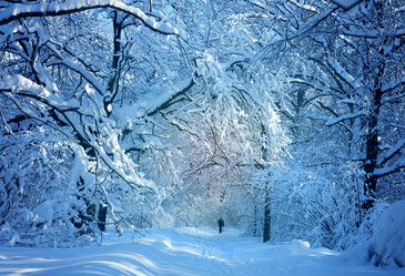 Similar image 17247828